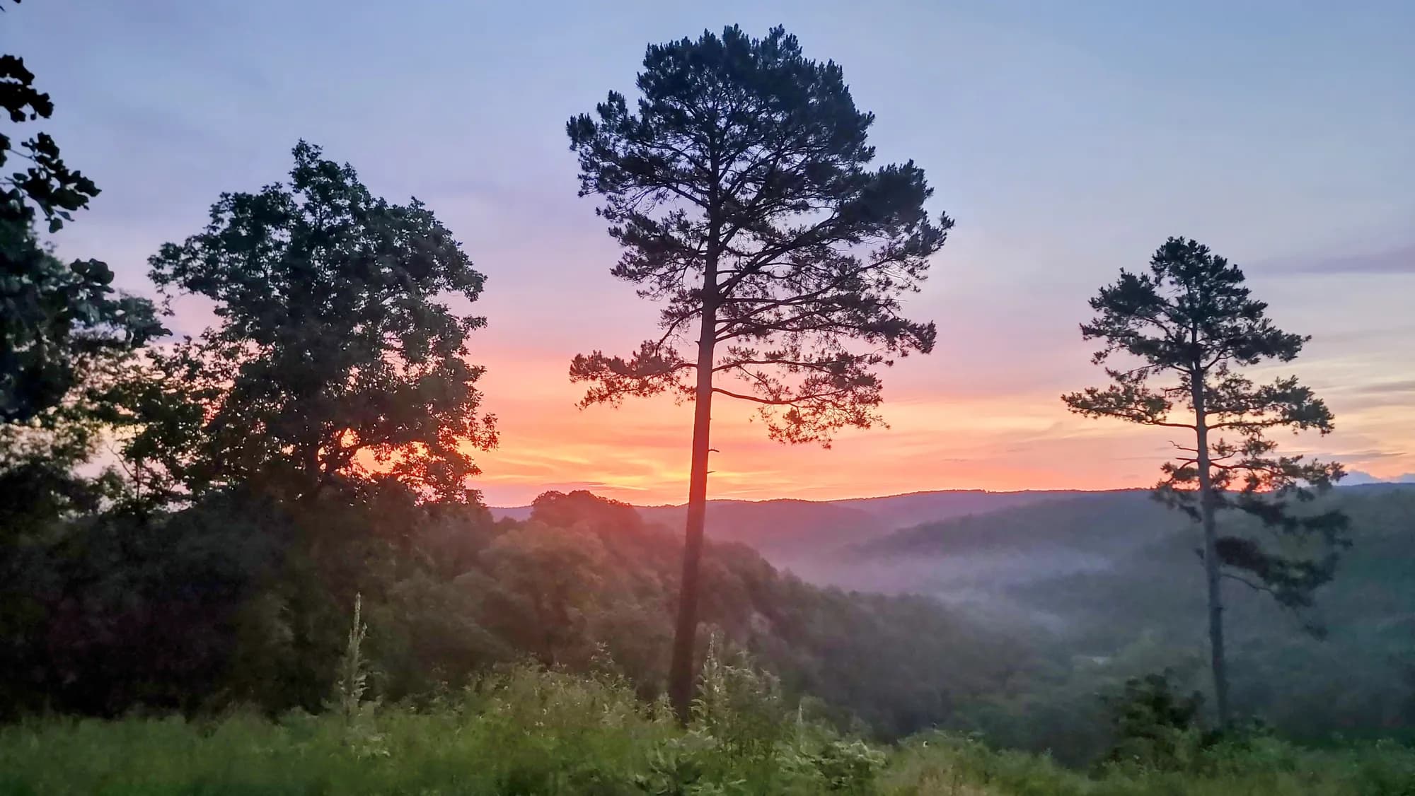 Sunset over forested ridgelines